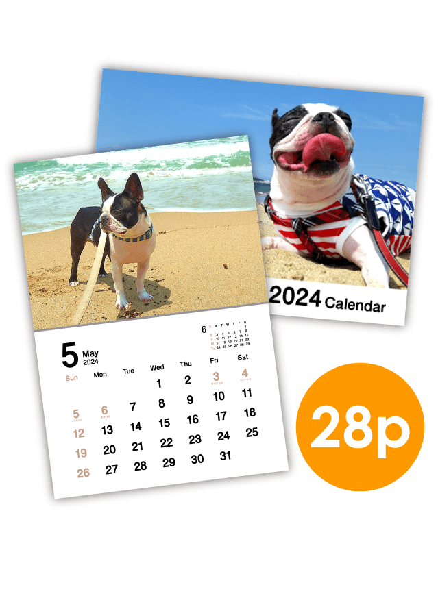 Simple Calendar 2024 - Sans-serif(28P)