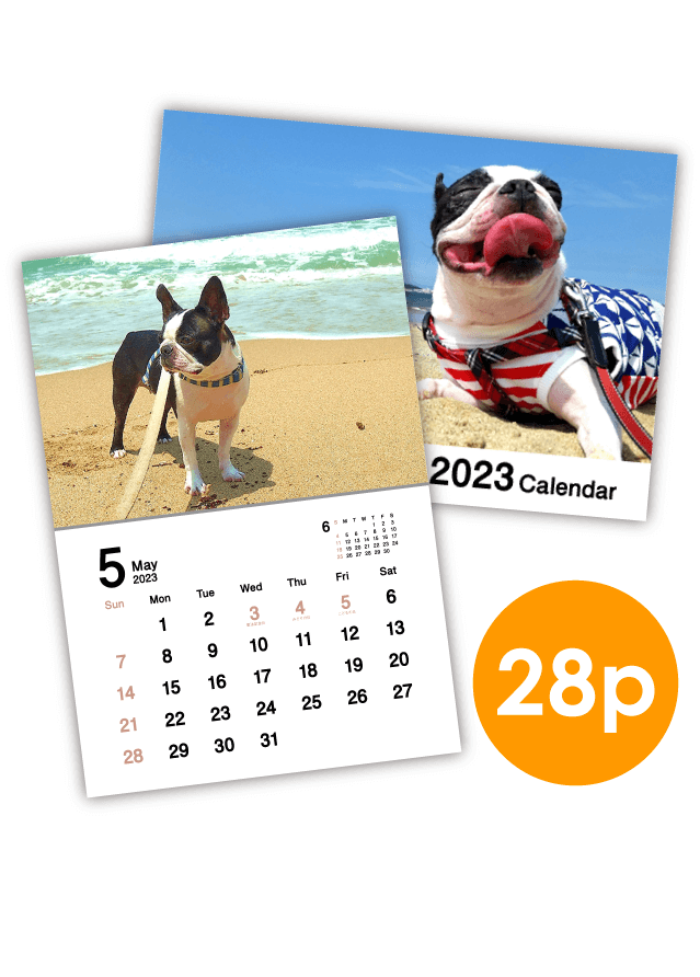 Calendar「Simple_Calendar2023_square_serif」