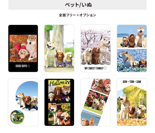 全面フリー+オプションデザイン