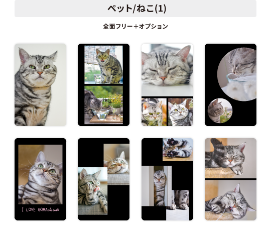 全面フリー+オプションデザイン