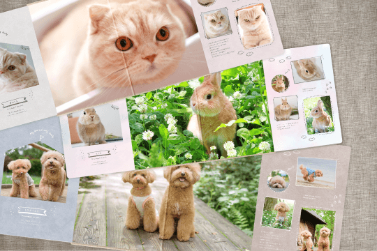 The cutest moment in special from「Premium photo board -Pet-」