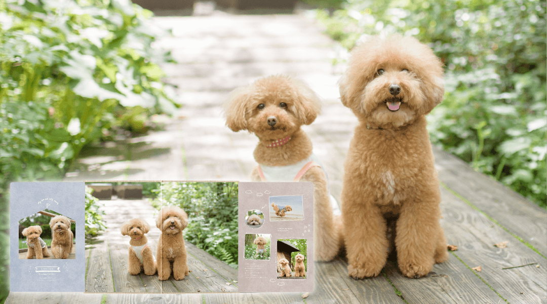 Premium photo board -Pet-