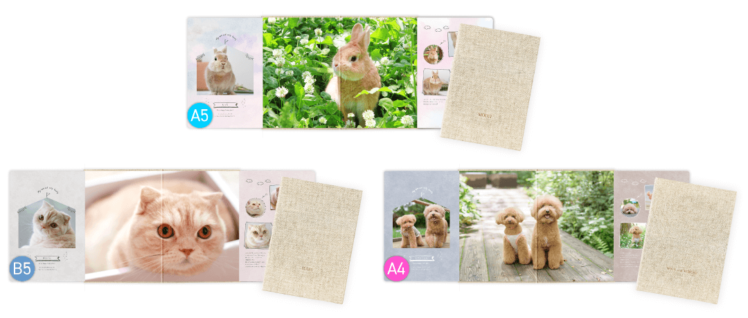 Premium photo board -Pet- template